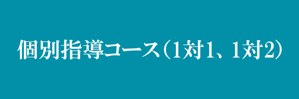 個別指導コース（1対1、1対2）