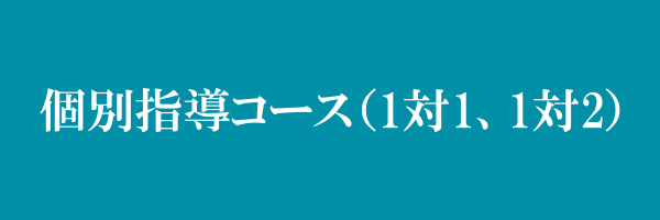 個別指導コース（1対1、1対2）